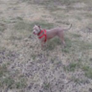 Meet your Posher, Terrence